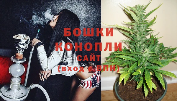 mdpv Белокуриха