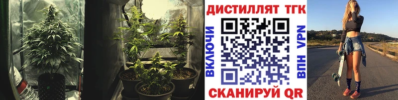 ТГК концентрат  Чухлома 